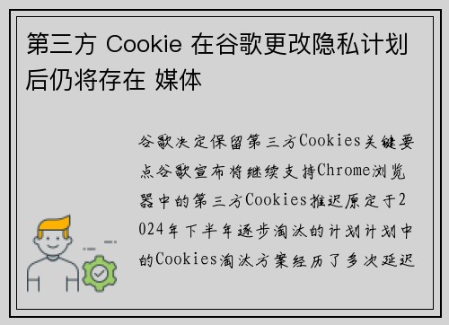第三方 Cookie 在谷歌更改隐私计划后仍将存在 媒体