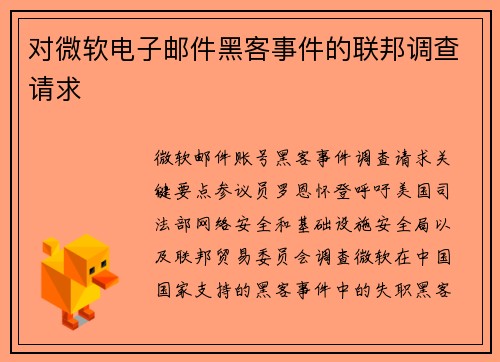 对微软电子邮件黑客事件的联邦调查请求 
