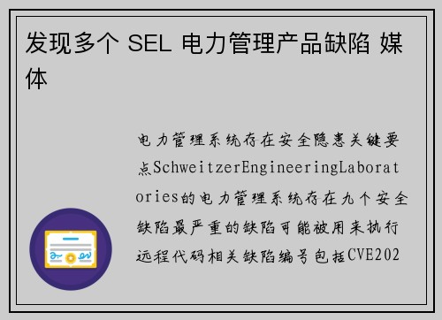 发现多个 SEL 电力管理产品缺陷 媒体