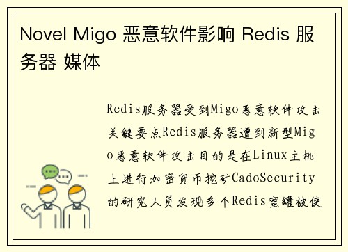 Novel Migo 恶意软件影响 Redis 服务器 媒体